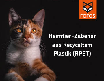 Fr Katzen